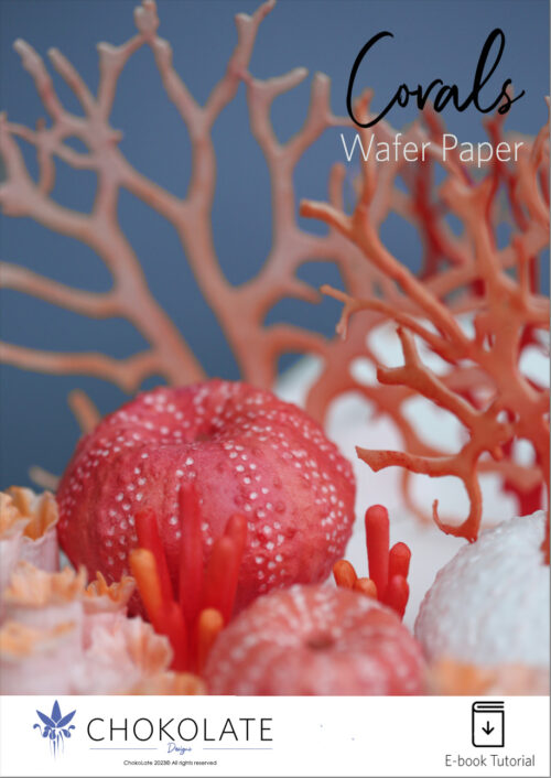 eBook Sea Urchins Corals