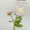 Wafer Paper Peony Flowers