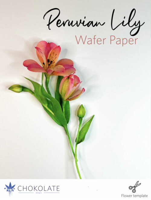 Peruvian Lily - Tutorial - Wafer Paper - Flowers - Alstroemeria Template - svg - dxf