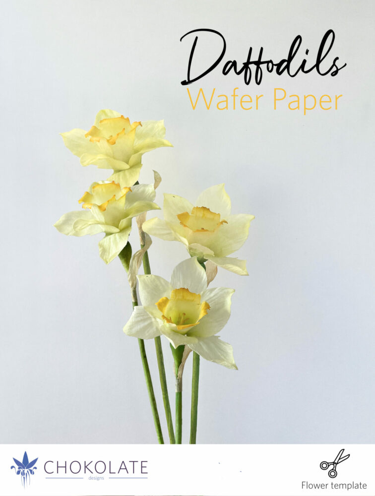 Daffodils - Tutorial - Wafer Paper - Flowers - Template - Cake design - Wedding - svg - dxf