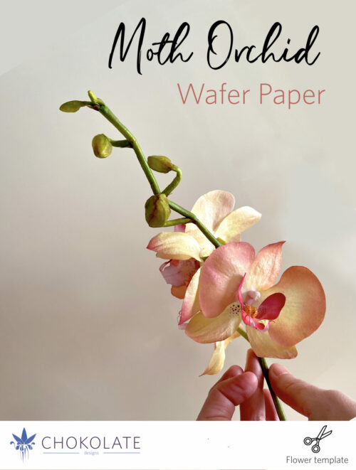 Orchid Tutorial Wafer Paper