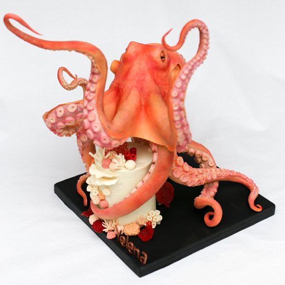 Octopus cake