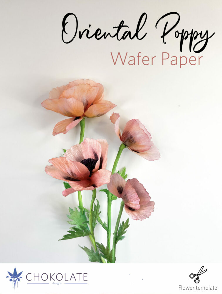 Oriental - Poppy - Tutorial - Wafer Paper - Flowers - Template - Cake design - Wedding - svg - dxf