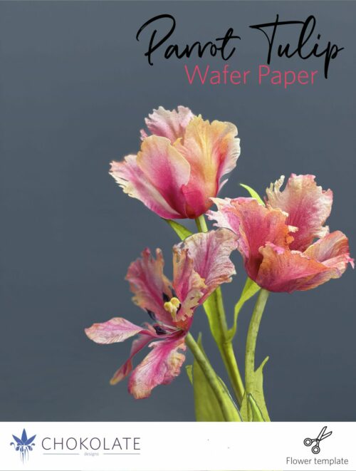 Parrot Tulip - Tutorial - Wafer Paper - Flowers - Cake design - Wedding